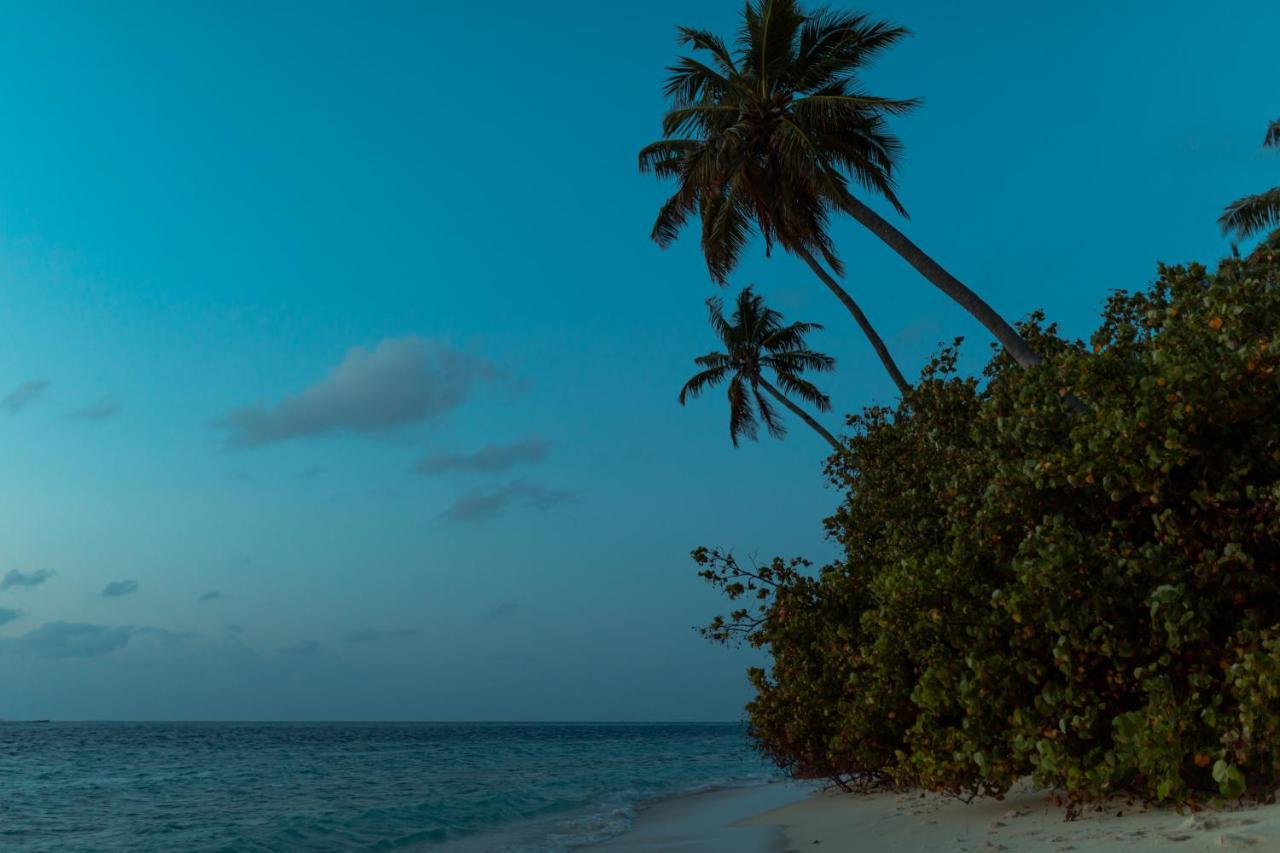 Wow Retreat Hotel Felidhoo Exterior photo